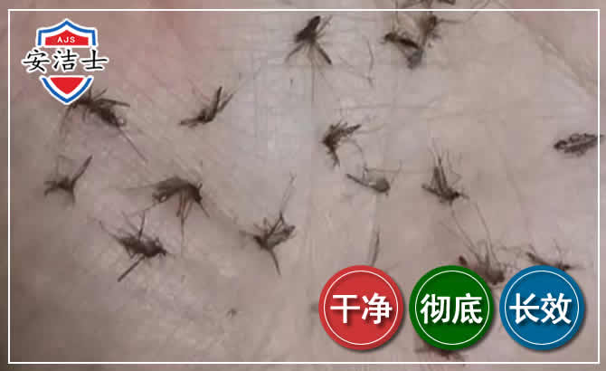 西沙区蚊子防治-灭蚊