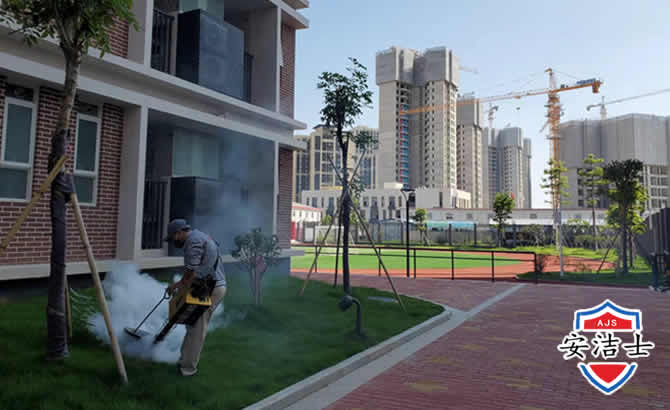 西沙区工厂工地除白蚁