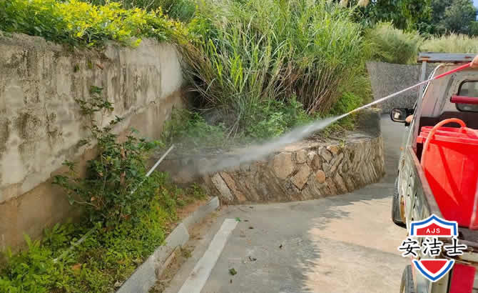 西沙区道路堤坝白蚁防治