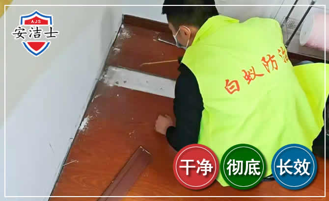 西沙区除四害现场