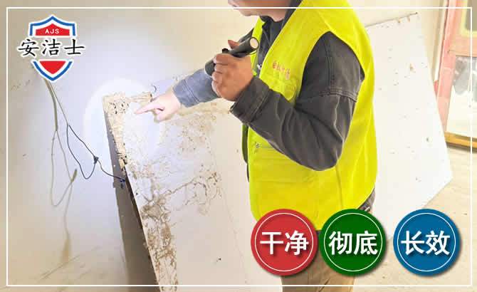 西沙区除白蚁现场