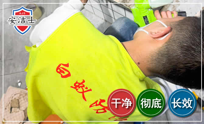 西沙区白蚁根治现场